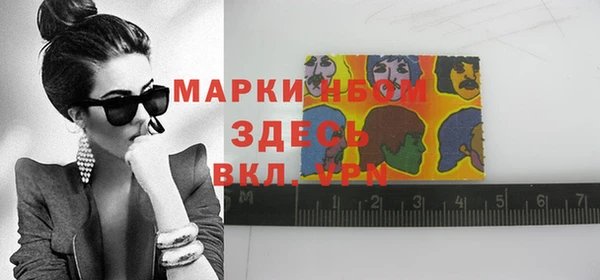 стаф Заводоуковск