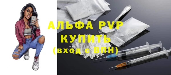 стаф Заводоуковск