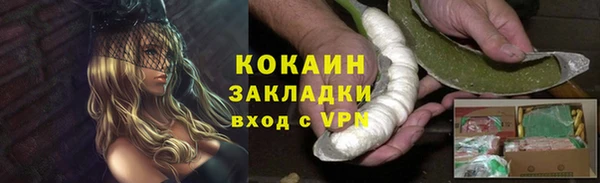 стаф Заводоуковск