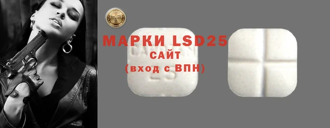 ECSTASY Заволжье