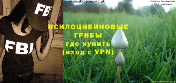 стаф Заводоуковск