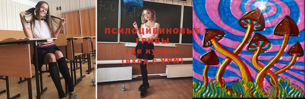 ECSTASY Заволжье